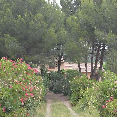 En Milieu Vignoble
