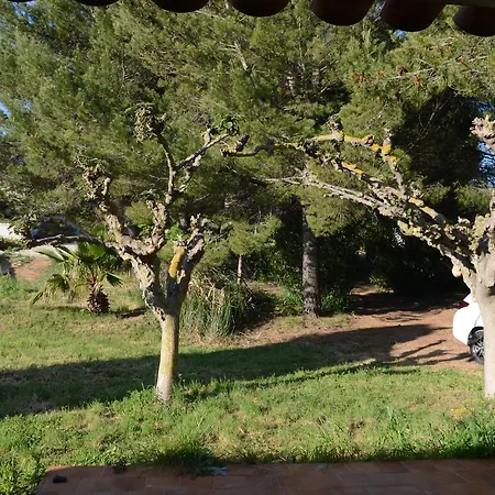 En Milieu Vignoble آجد